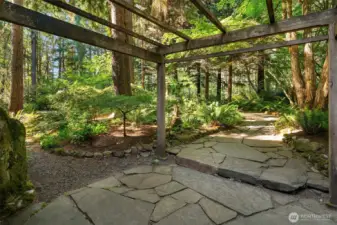 Trellis would be a great place for flowering vines.