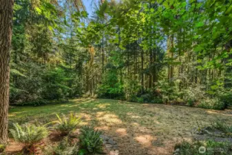 Dappled sunlight on the meadow. Lots of room here for lawn games or gatherings.