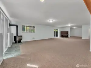 Large rec room/bonus space