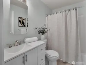 second (guest) bathroom downstairs