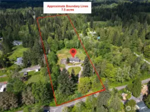 Huge lot with lots of room and trees