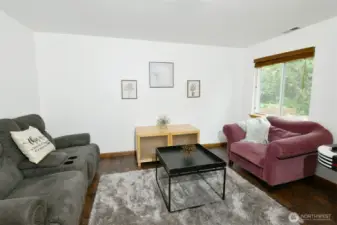 Downstairs family room