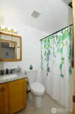 Downstairs full bath