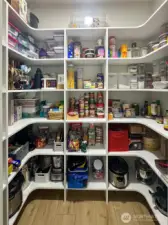 Huge walk-in pantry allows the counters to be clutter-free.