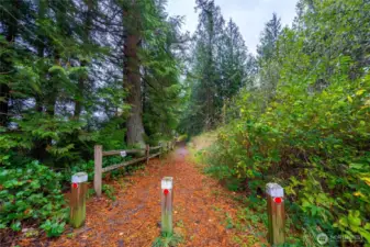 Stay on Sinnes Road to the entrance to Lake Sixteen walking trails and private dock.