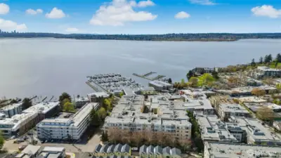 A striking view of the collection—bold rooflines, large windows, and corner units create a powerful street presence in the heart of Kirkland.