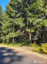 Nice Flat, Secluded Property to Build your Dream Get-a-Way Home