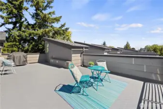 Roof top deck is large enough for entertaining
