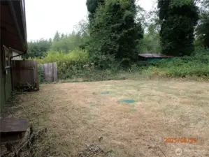 Back yard