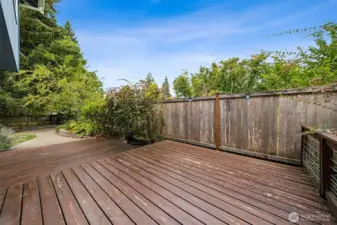 Back deck