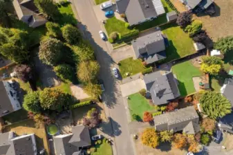An aerial shot of the neighborhood