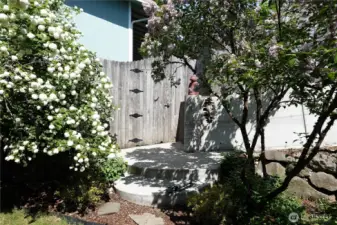 Steps to upper garden