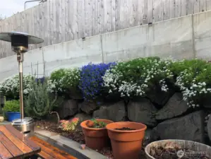 Garden by outside dining area