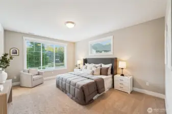 Main floor guest suite with walk in closet