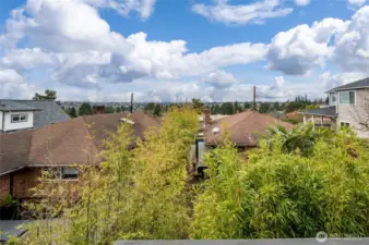 The sunsets are amazing and when the Olympic Mountains are out they stand here in all their glory. There is a height restriction on the house in front to protect your view.
