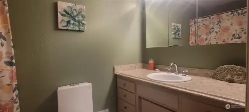 Primary Suite Bathroom with new easy clean toilet