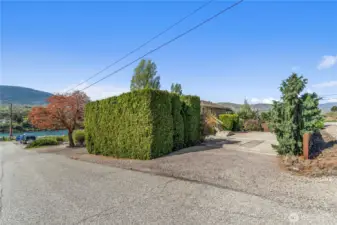 Upper-level parking with arborvitae for privacy
