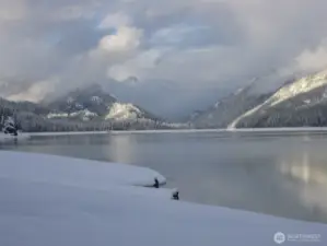 Photo Taken This Winter