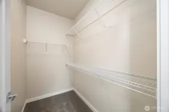 The walk-in closet is quite large.