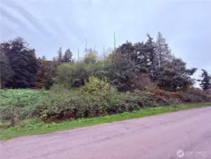 A-73 Saratoga Dr