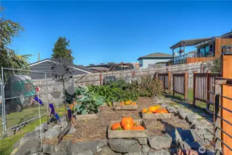 Raised beds, great sunshine, lots of love.