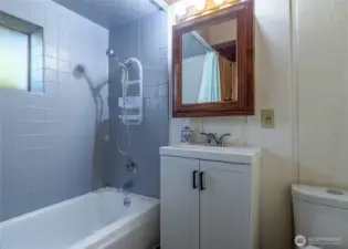 Downstairs full bathroom