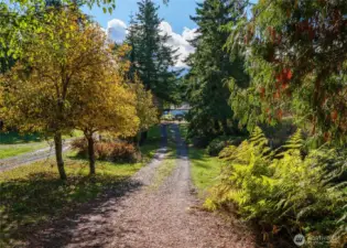 Private driveway to home