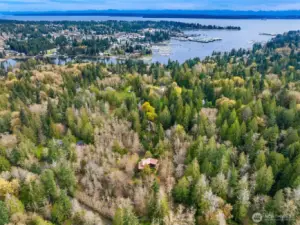 View from above looking east over Eagle Harbor with Puget Sound in the distance.