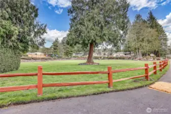 Cedar Glen is one of the best kept 55+ parks in Poulsbo!
