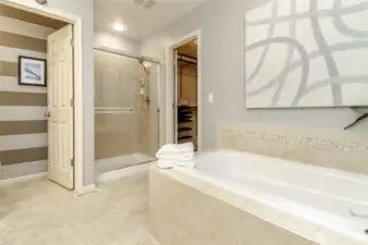 Master Bathroom View 3