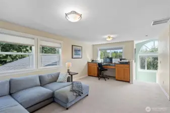 Upstairs family room is currently being used as a home office and media room