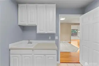 Laundry room with sink and storage