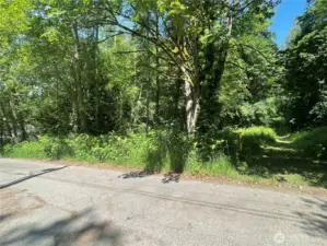 SE corner of lot viewed from Sipes Ln
