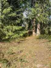 Last part of easement along Eastern line nearing NE corner
