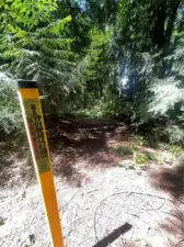 View of approximate NE corner facing North along approximate North Property line.
