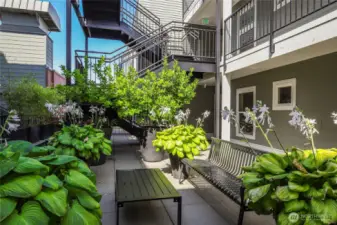 Beautiful courtyard extends your entertaining space