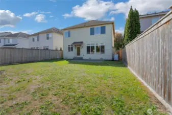 Another view of the back yard.