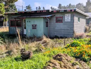 A diamond in the rough