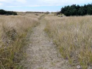Dune Trail