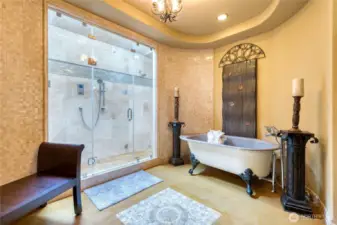 Pamper yourself in your own 14 Foot Shower System Steam Room and Enjoy Bathing with your own waterfall.