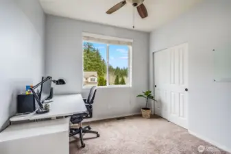 Bedroom 4 offers a spacious layout with plush carpeting, a ceiling fan, a large closet, and a bright window showcasing scenic views—perfect as a guest room, office, or creative space.