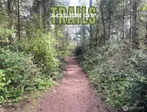 Enjoy miles of scenic wooded walking trails, perfect for outdoor enthusiasts, dog walkers, and those with strollers. These well-maintained paths provide a peaceful escape into nature while staying close to the comforts of home.