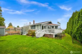 Back yard
