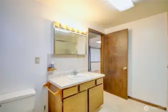Continental style 3/4 bath with walk-in shower - previously a full tub/shower combo