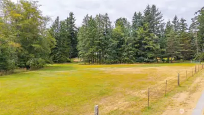 Pasture