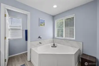 Relax in the bathtub while enjoying the natural light!