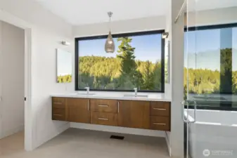Ensuite Bath with a view.