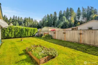 Private fenced backyard with raised flower bed.
