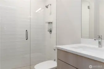 Lower level bathroom