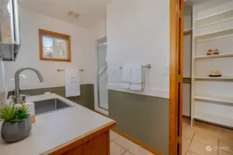 Primary bathroom with walk-in closet.